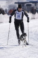 Lenk 2013
